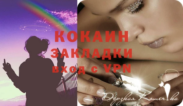 apvp Няндома