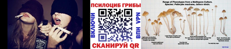 Галлюциногенные грибы GOLDEN TEACHER  Новый Оскол 